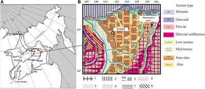 Microbial and Geochemical Evidence of Permafrost Formation at Mamontova Gora and Syrdakh, Central Yakutia